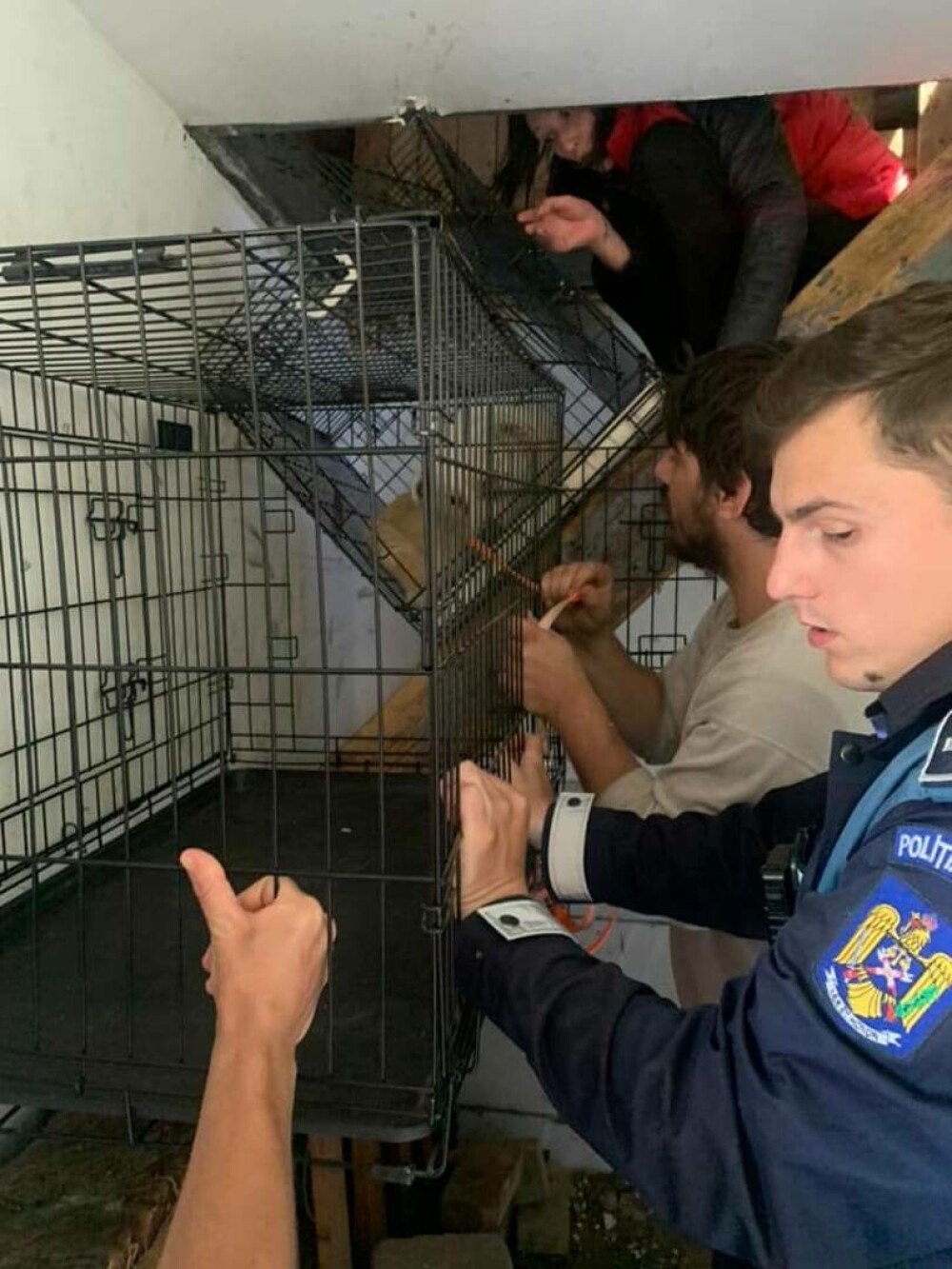 O femeie din Suceava a trăit 3 ani închisă în podul casei, alături de câinii săi. ”Cel mai revoltător caz de degradare umană” - Imaginea 15