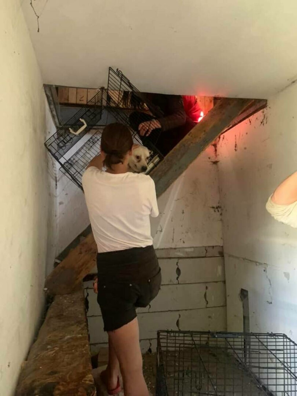 O femeie din Suceava a trăit 3 ani închisă în podul casei, alături de câinii săi. ”Cel mai revoltător caz de degradare umană” - Imaginea 22