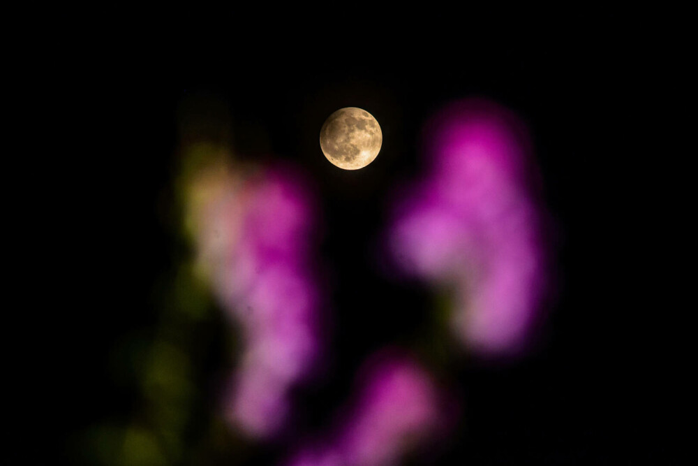 Calendarul fenomenelor astronomice din 2023. Imagini inedite cu „Luna Roz”. Tradiții legate de Luna plină din iunie | FOTO - Imaginea 21