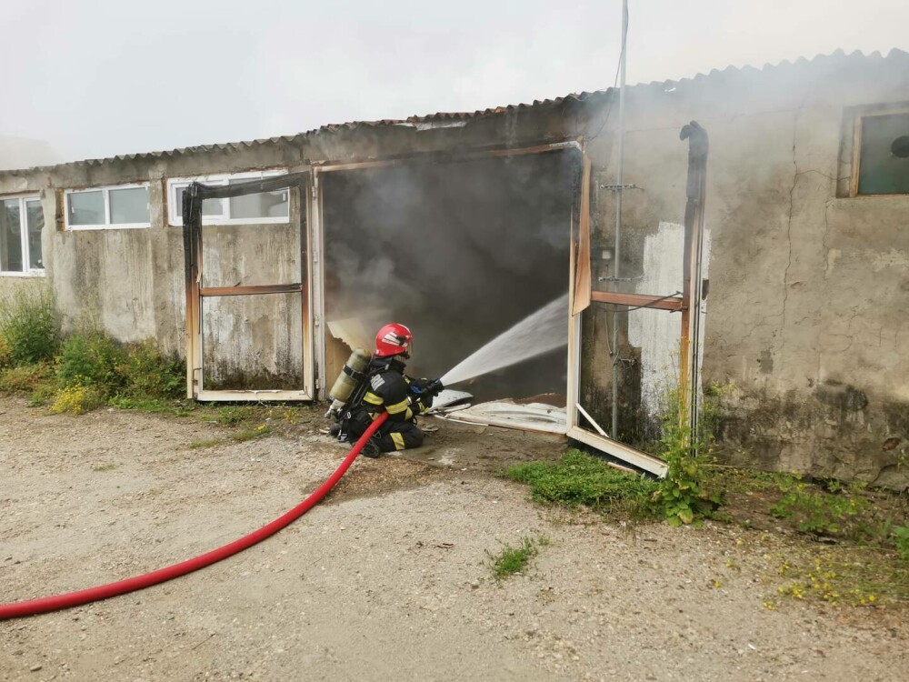 O hală din Cluj în care se aflau peleți a fost mistuită de flăcări. Cauza incendiului rămâne neclară | FOTO - Imaginea 5