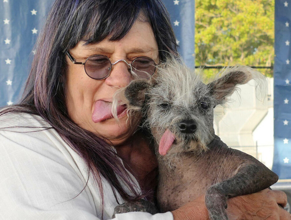 GALERIE FOTO. Scooter a fost declarat oficial ”Cel Mai Urât Câine din Lume” în 2023 - Imaginea 4