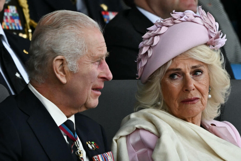 Regina Camilla, cu lacrimi în ochi la evenimentul care marchează Ziua Z. Explicația pentru care a purtat roz | FOTO - Imaginea 5