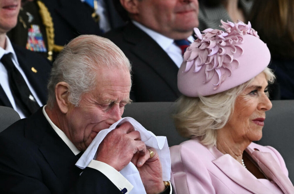 Regina Camilla, cu lacrimi în ochi la evenimentul care marchează Ziua Z. Explicația pentru care a purtat roz | FOTO - Imaginea 7