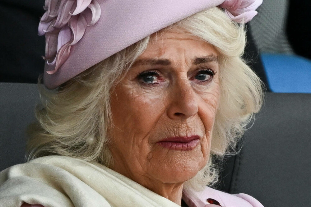 Regina Camilla, cu lacrimi în ochi la evenimentul care marchează Ziua Z. Explicația pentru care a purtat roz | FOTO - Imaginea 8