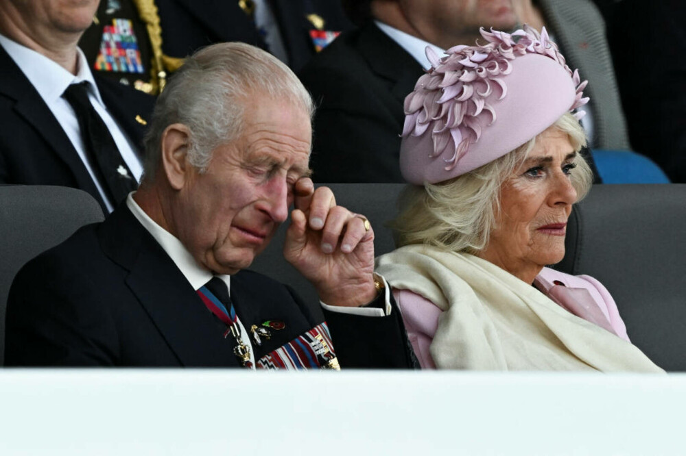 Regina Camilla, cu lacrimi în ochi la evenimentul care marchează Ziua Z. Explicația pentru care a purtat roz | FOTO - Imaginea 9
