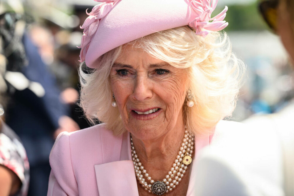 Regina Camilla, cu lacrimi în ochi la evenimentul care marchează Ziua Z. Explicația pentru care a purtat roz | FOTO - Imaginea 17