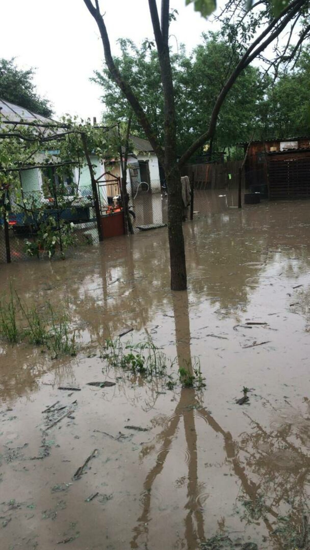 Inundaţii în România cauzate de ploile torențiale. Localitățile vizate de avertismentul de vreme rea - Imaginea 1
