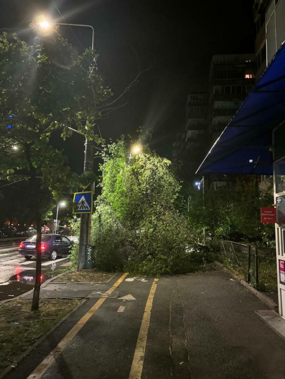 Dezastrul produs de furtună în București. 60 de copaci au căzut, 107 străzi au fost inundate, 208 locuințe afectate - Imaginea 1