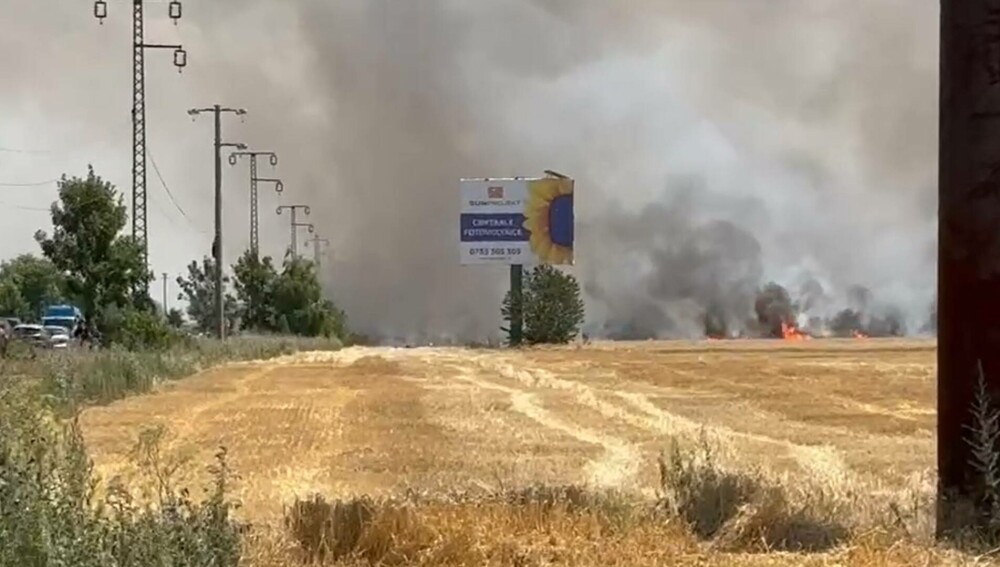 Incendiu de proporții pe un câmp de lângă Băicoi. Circulația pe DN1 este oprită | FOTO - Imaginea 4