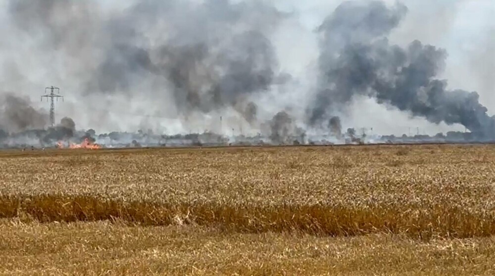 Incendiu de proporții pe un câmp de lângă Băicoi. Circulația pe DN1 este oprită | FOTO - Imaginea 5