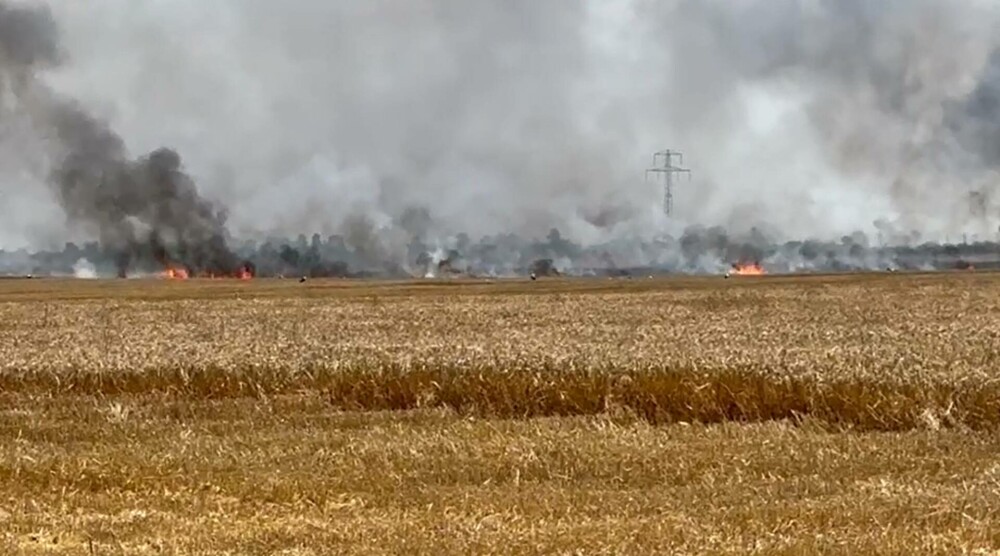 Incendiu de proporții pe un câmp de lângă Băicoi. Circulația pe DN1 este oprită | FOTO - Imaginea 6