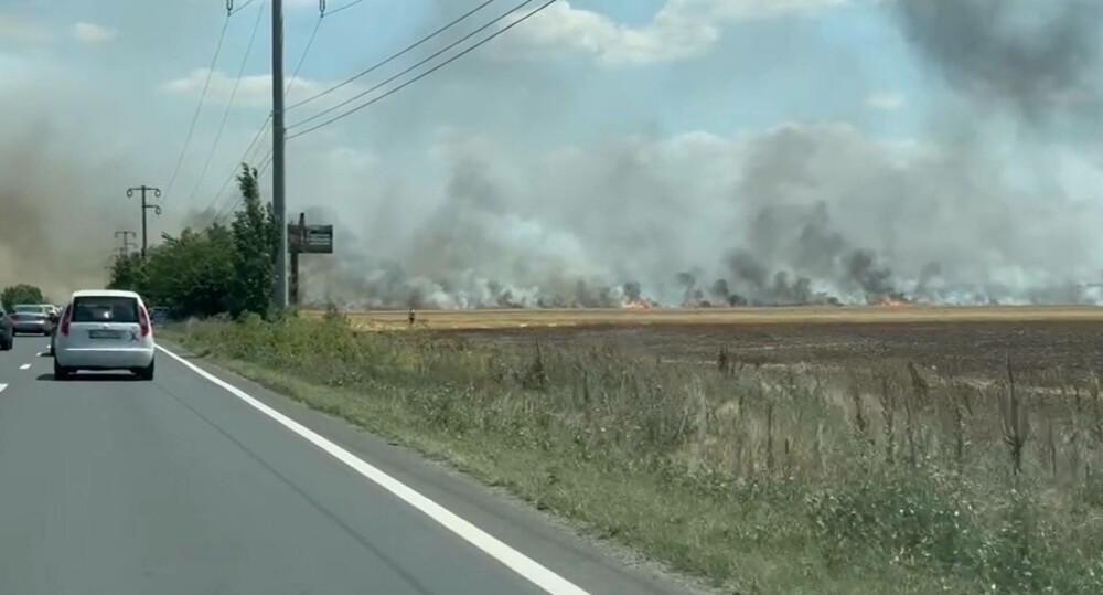 Incendiu de proporții pe un câmp de lângă Băicoi. Circulația pe DN1 este oprită | FOTO - Imaginea 7