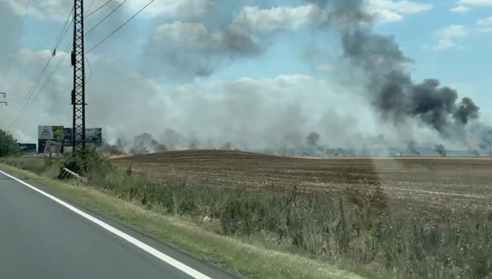 Incendiu de proporții pe un câmp de lângă Băicoi. Circulația pe DN1 este oprită | FOTO - Imaginea 9