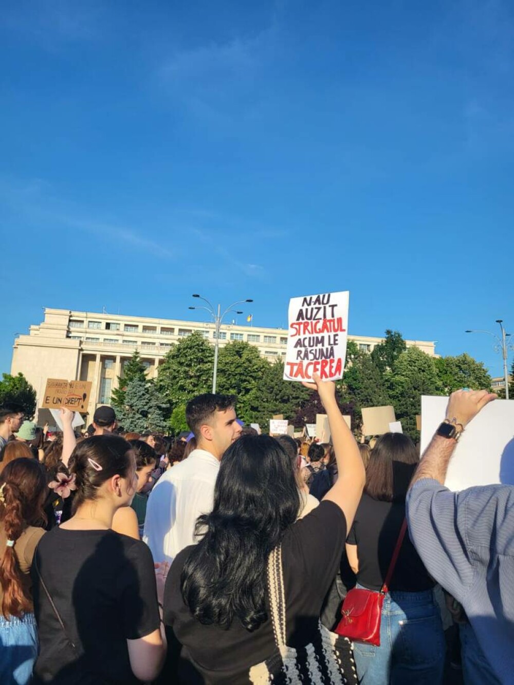 Protest la Guvern, după crima din Cosmopolis. Femicidul, cerut ca infracțiune distinctă în Codul Penal. „Ne-am săturat” - Imaginea 6