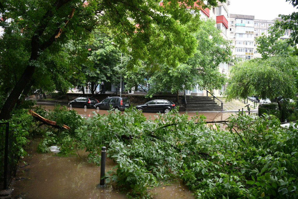 ISUBIF: Aproape 600 de intervenţii în Bucureşti şi Ilfov în urma furtunii de luni. GALERIE FOTO - Imaginea 11