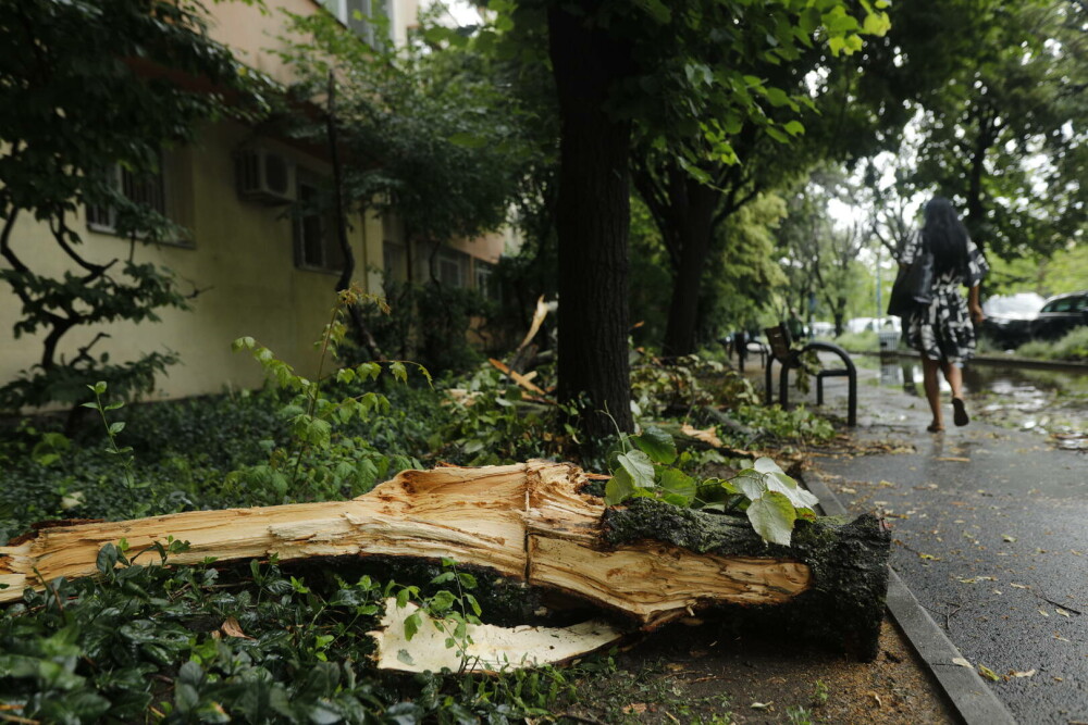 ISUBIF: Aproape 600 de intervenţii în Bucureşti şi Ilfov în urma furtunii de luni. GALERIE FOTO - Imaginea 22