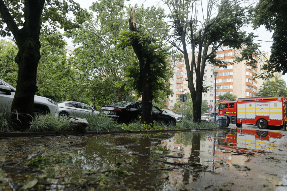 ISUBIF: Aproape 600 de intervenţii în Bucureşti şi Ilfov în urma furtunii de luni. GALERIE FOTO - Imaginea 23