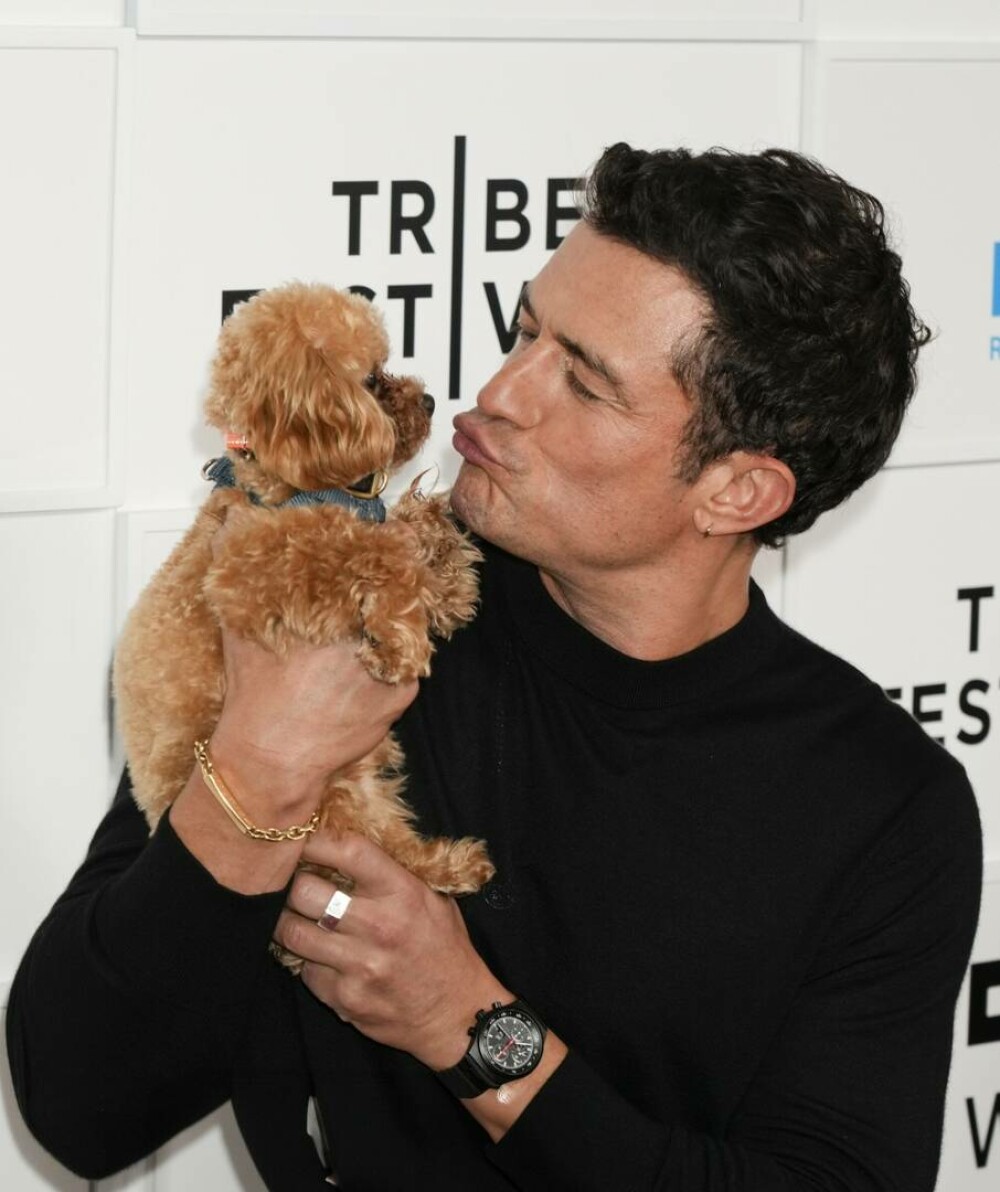 Orlando Bloom a atras din nou toate privirile. Cum a apărut alături de câinele său pe covorul roșu. GALERIE FOTO - Imaginea 1