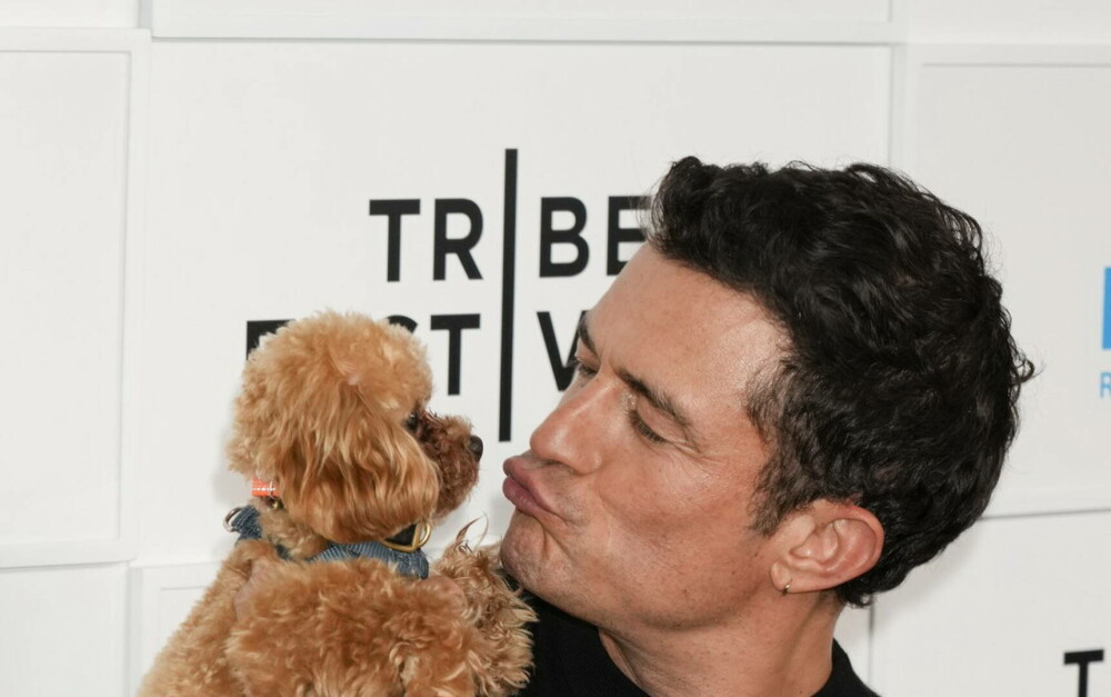 Orlando Bloom a atras din nou toate privirile. Cum a apărut alături de câinele său pe covorul roșu. GALERIE FOTO - Imaginea 19