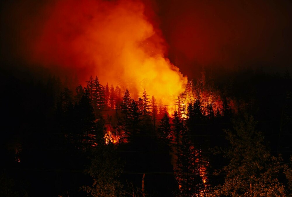 Incendiile de pădure devastează Canada. 3,5 milioane de hectare au fost deja mistuite de flăcări. GALERIE FOTO & VIDEO - Imaginea 2