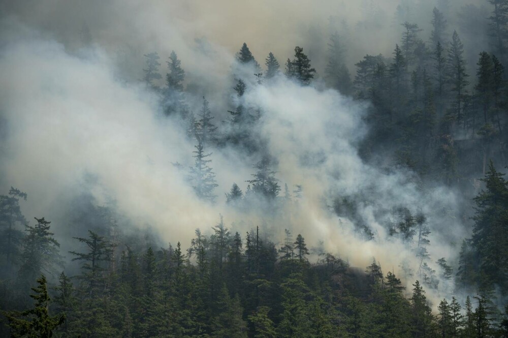 Incendiile de pădure devastează Canada. 3,5 milioane de hectare au fost deja mistuite de flăcări. GALERIE FOTO & VIDEO - Imaginea 3