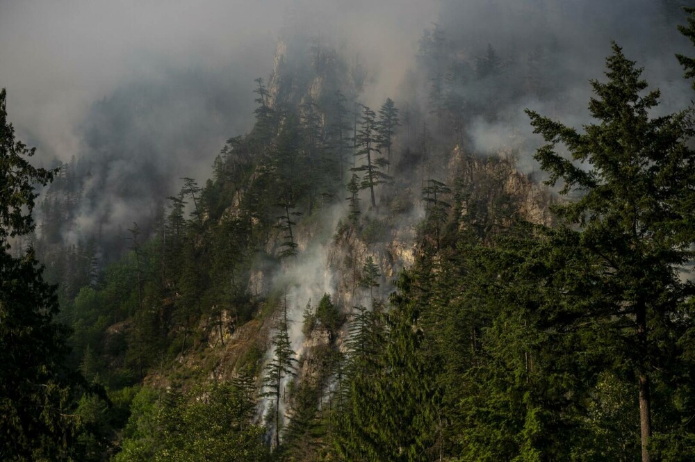Incendiile de pădure devastează Canada. 3,5 milioane de hectare au fost deja mistuite de flăcări. GALERIE FOTO & VIDEO - Imaginea 7