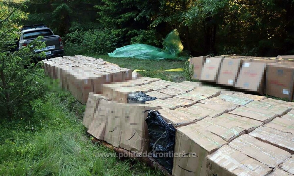 Ce au descoperit polițiștii de frontieră din Suceava în zeci de cutii ascunse în vegetație. Costă peste 1,7 milioane de lei - Imaginea 13
