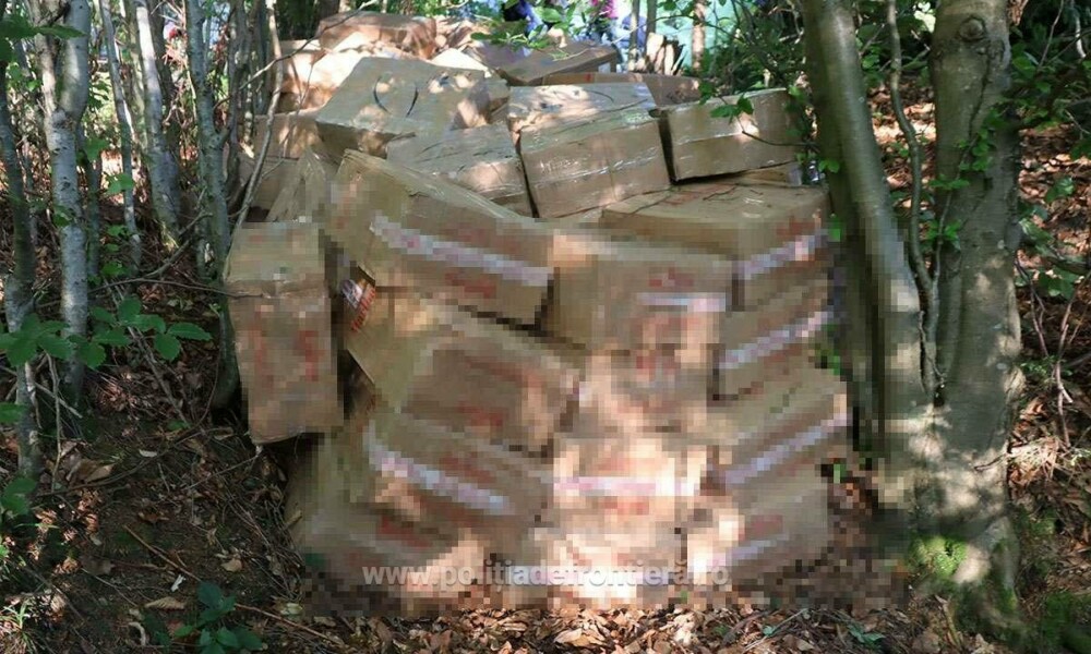 Ce au descoperit polițiștii de frontieră din Suceava în zeci de cutii ascunse în vegetație. Costă peste 1,7 milioane de lei - Imaginea 4
