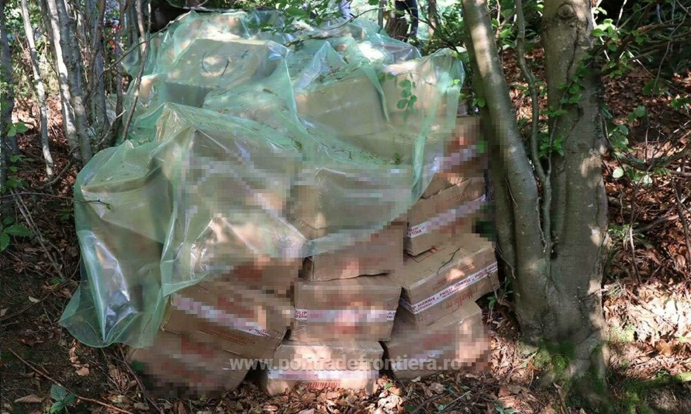 Ce au descoperit polițiștii de frontieră din Suceava în zeci de cutii ascunse în vegetație. Costă peste 1,7 milioane de lei - Imaginea 6