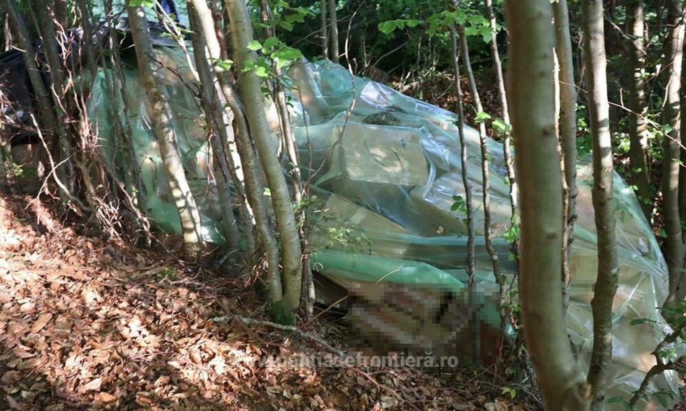 Ce au descoperit polițiștii de frontieră din Suceava în zeci de cutii ascunse în vegetație. Costă peste 1,7 milioane de lei - Imaginea 7