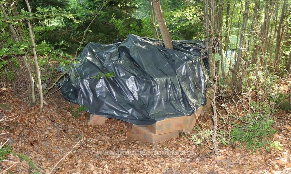Ce au descoperit polițiștii de frontieră din Suceava în zeci de cutii ascunse în vegetație. Costă peste 1,7 milioane de lei - Imaginea 8