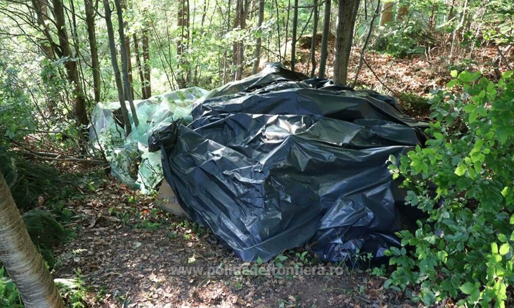 Ce au descoperit polițiștii de frontieră din Suceava în zeci de cutii ascunse în vegetație. Costă peste 1,7 milioane de lei - Imaginea 9