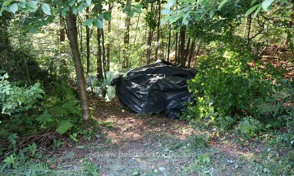 Ce au descoperit polițiștii de frontieră din Suceava în zeci de cutii ascunse în vegetație. Costă peste 1,7 milioane de lei - Imaginea 10