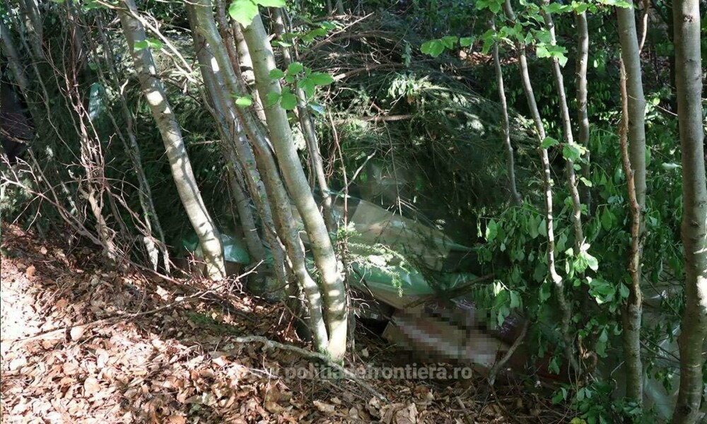 Ce au descoperit polițiștii de frontieră din Suceava în zeci de cutii ascunse în vegetație. Costă peste 1,7 milioane de lei - Imaginea 11
