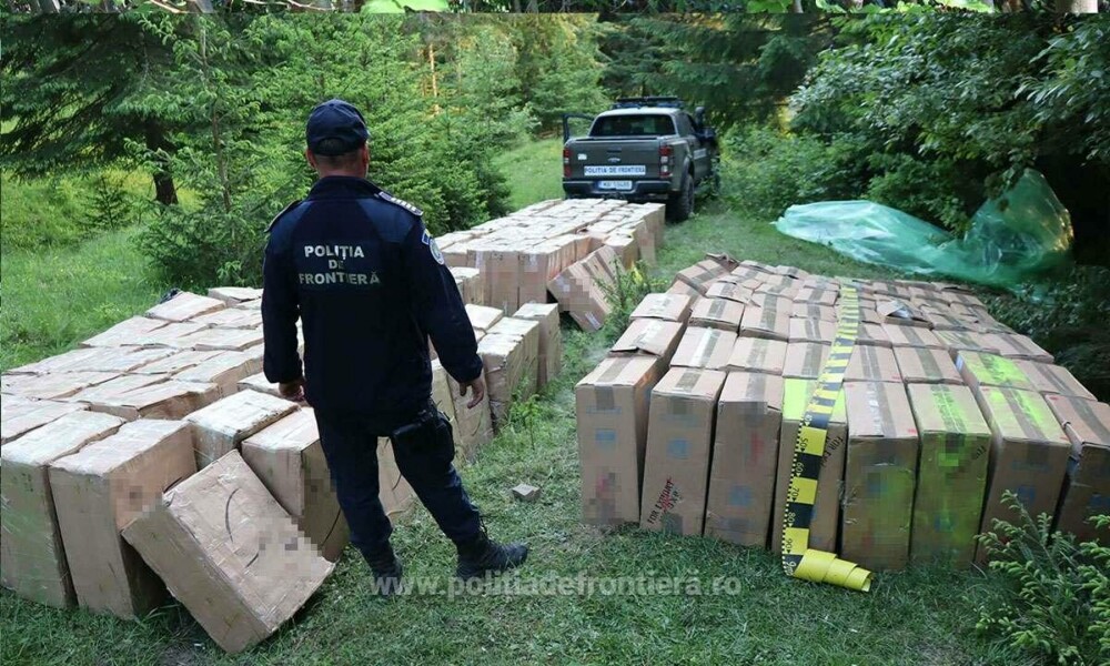 Ce au descoperit polițiștii de frontieră din Suceava în zeci de cutii ascunse în vegetație. Costă peste 1,7 milioane de lei - Imaginea 12