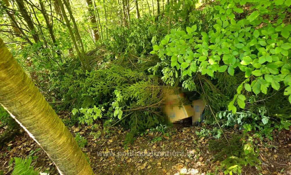 Ce au descoperit polițiștii de frontieră din Suceava în zeci de cutii ascunse în vegetație. Costă peste 1,7 milioane de lei - Imaginea 1