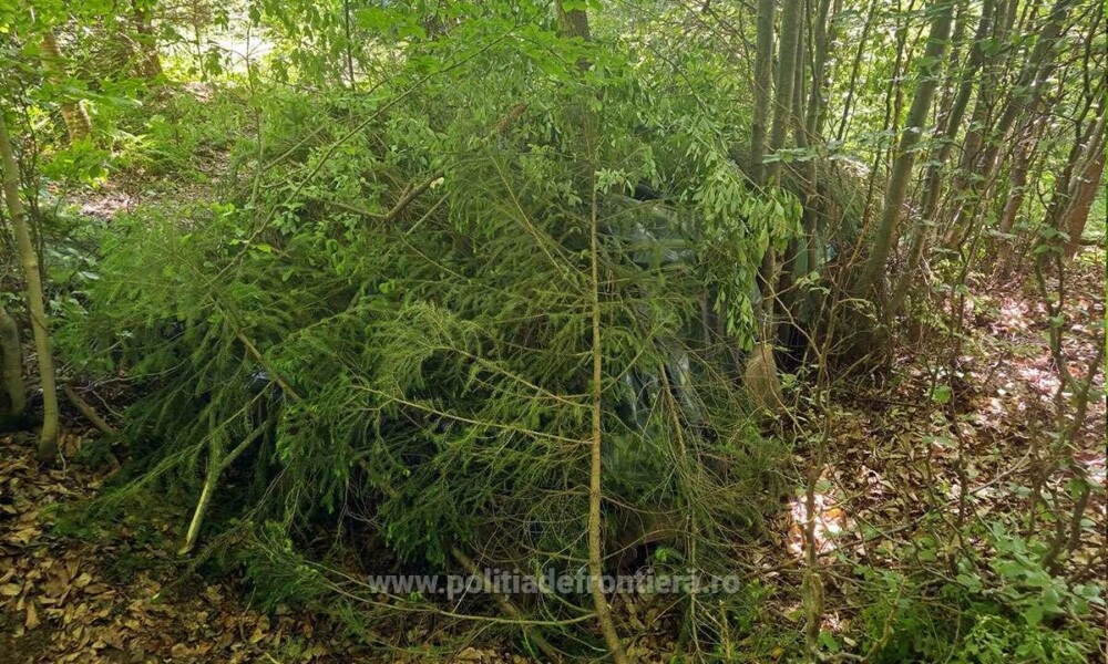 Ce au descoperit polițiștii de frontieră din Suceava în zeci de cutii ascunse în vegetație. Costă peste 1,7 milioane de lei - Imaginea 14