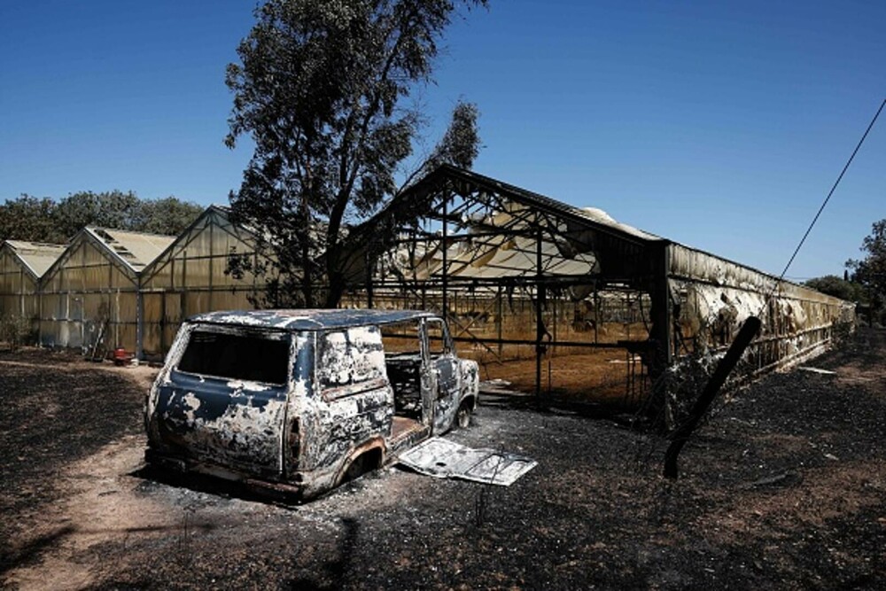 Incendii violente de vegetație devastează sudul Atenei. Riscul de izbucnire a noi focare rămâne ridicat. GALERIE FOTO - Imaginea 7