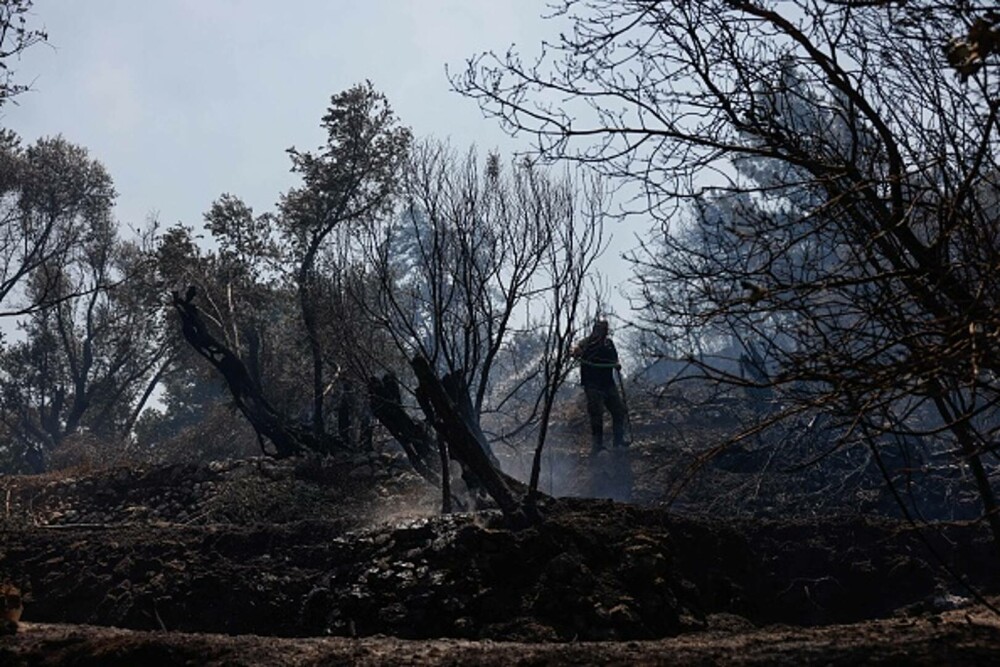 Incendii violente de vegetație devastează sudul Atenei. Riscul de izbucnire a noi focare rămâne ridicat. GALERIE FOTO - Imaginea 8