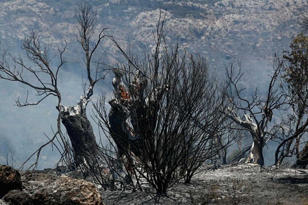 Incendii violente de vegetație devastează sudul Atenei. Riscul de izbucnire a noi focare rămâne ridicat. GALERIE FOTO - Imaginea 14