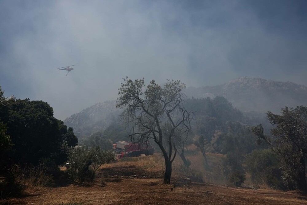 Incendii violente de vegetație devastează sudul Atenei. Riscul de izbucnire a noi focare rămâne ridicat. GALERIE FOTO - Imaginea 16