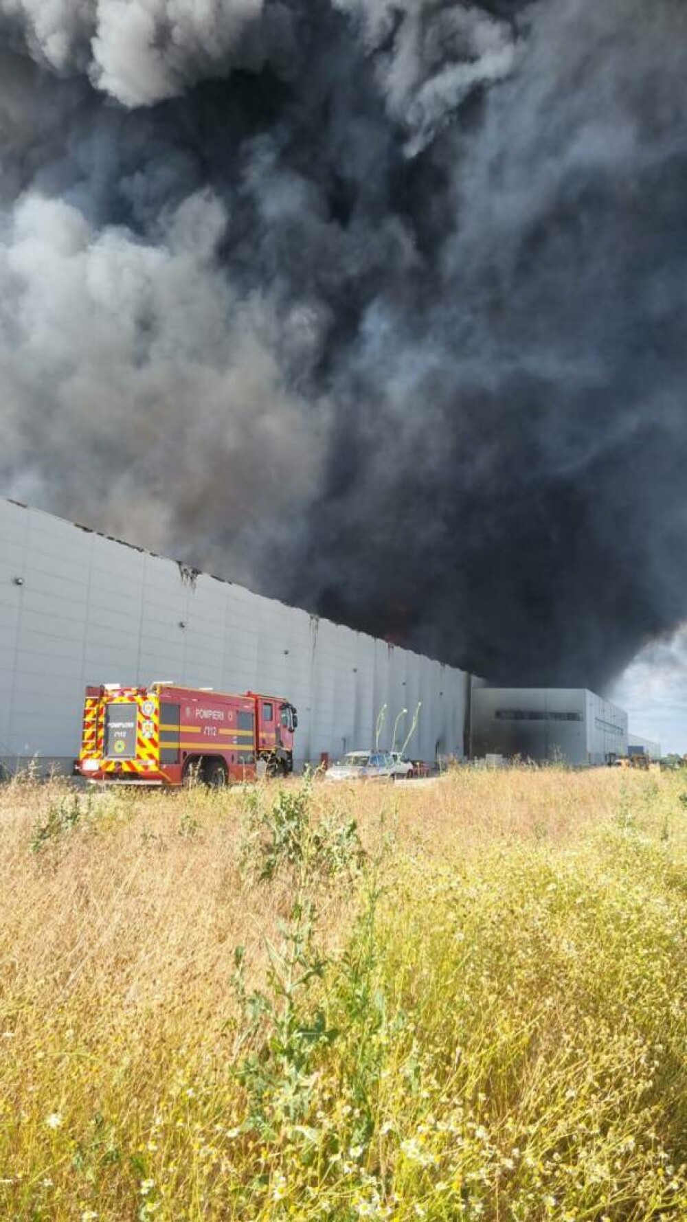 Incendiu violent la un depozit de pe A1, lângă București. A fost emis un mesaj RO-Alert pentru mai multe localități. VIDEO - Imaginea 2