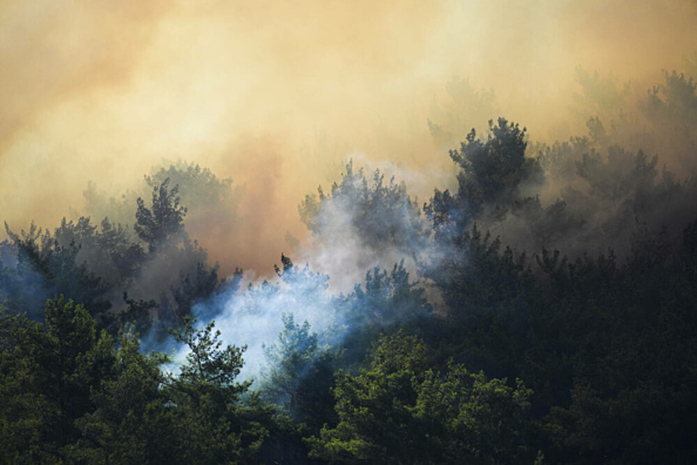 Peste 50.000 de persoane au fost evacuate în urma incendiilor de pădure din Turcia. GALERIE FOTO & VIDEO - Imaginea 16