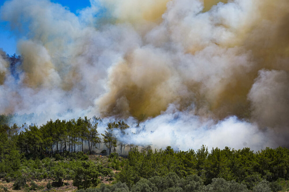 Peste 50.000 de persoane au fost evacuate în urma incendiilor de pădure din Turcia. GALERIE FOTO & VIDEO - Imaginea 26