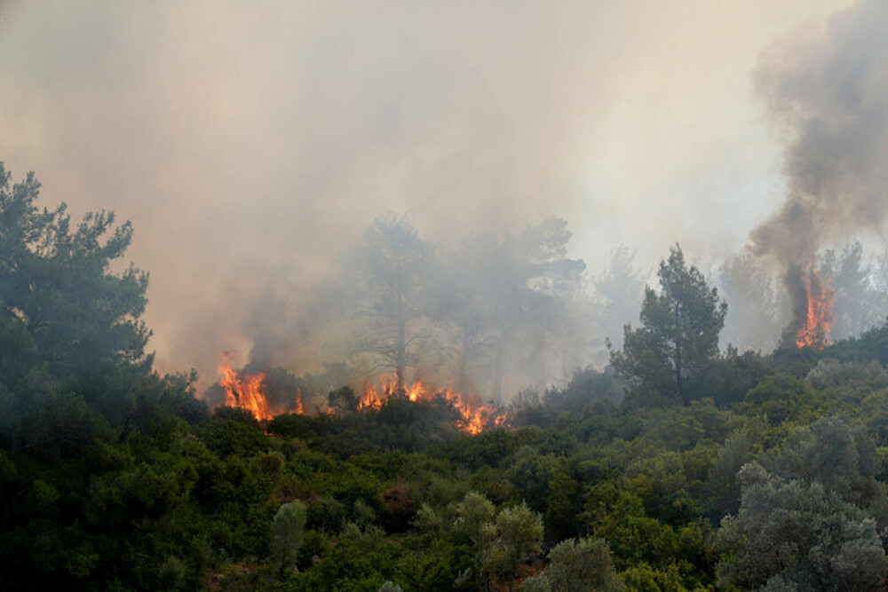 Peste 50.000 de persoane au fost evacuate în urma incendiilor de pădure din Turcia. GALERIE FOTO & VIDEO - Imaginea 30