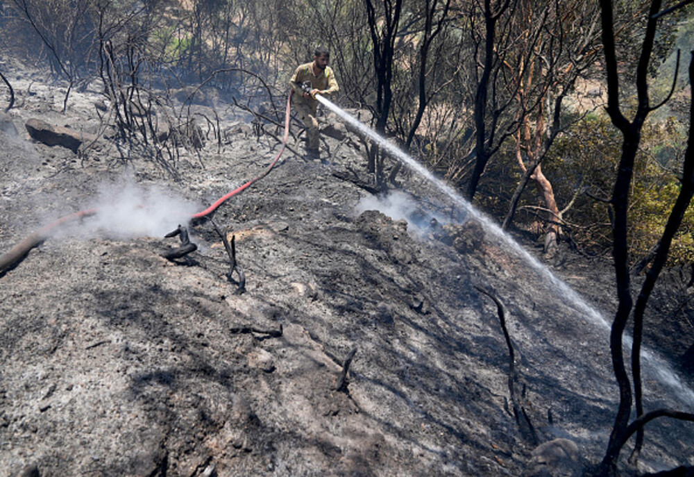 Peste 50.000 de persoane au fost evacuate în urma incendiilor de pădure din Turcia. GALERIE FOTO & VIDEO - Imaginea 33