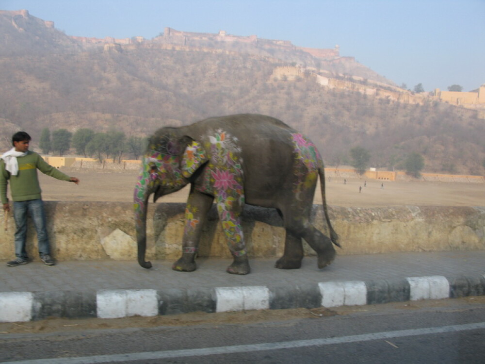 Planeta India: Viata in Jaipur, Orasul Roz - Imaginea 22