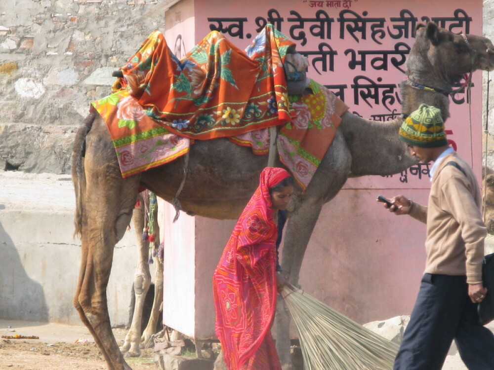 Planeta India: Viata in Jaipur, Orasul Roz - Imaginea 29