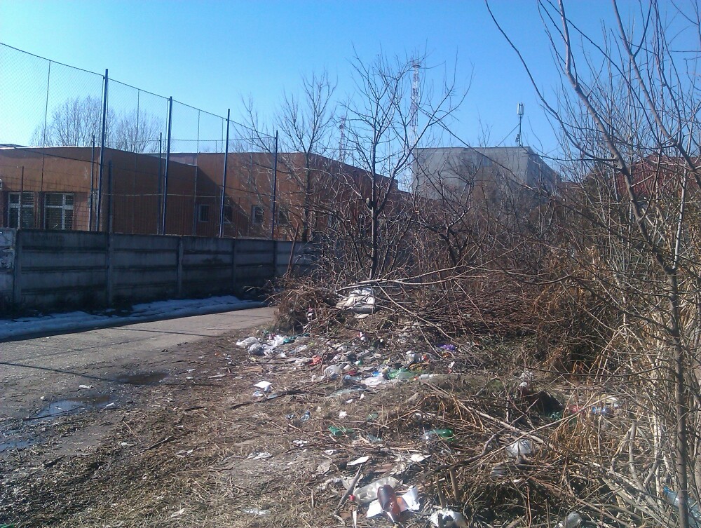 Asa arata o strada din centrul Aradului. Drumul elevilor spre scoala e pavat cu gunoaie - Imaginea 2
