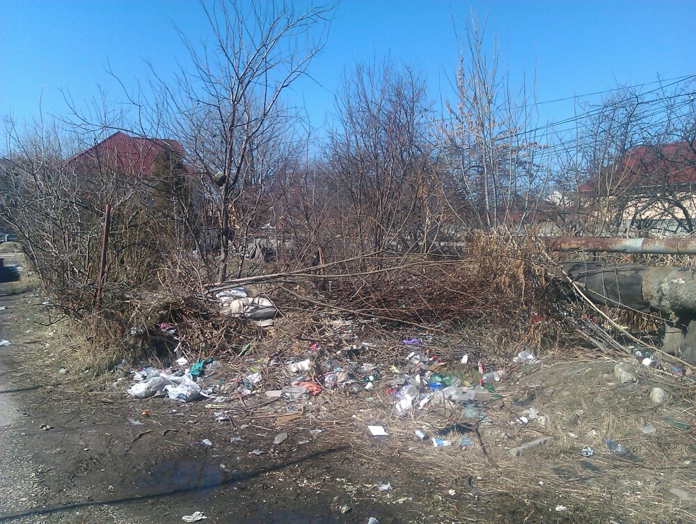 Asa arata o strada din centrul Aradului. Drumul elevilor spre scoala e pavat cu gunoaie - Imaginea 3